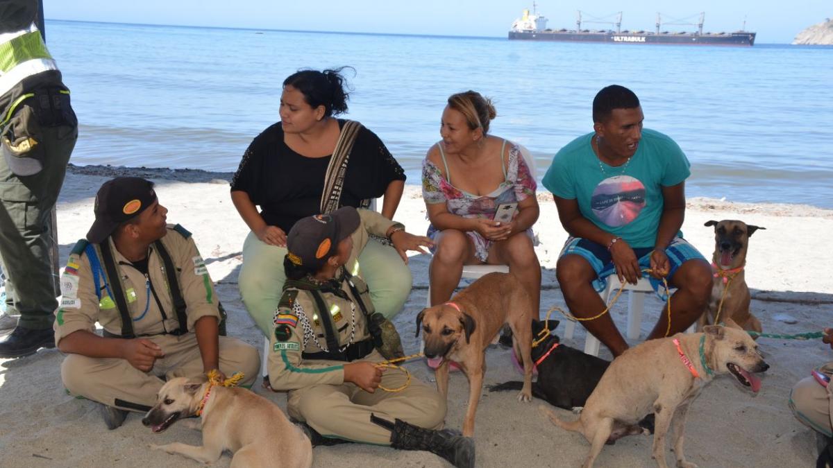 Samarios se volcaron a gran jornada de adopción de perritos y gaticos en condición de calle