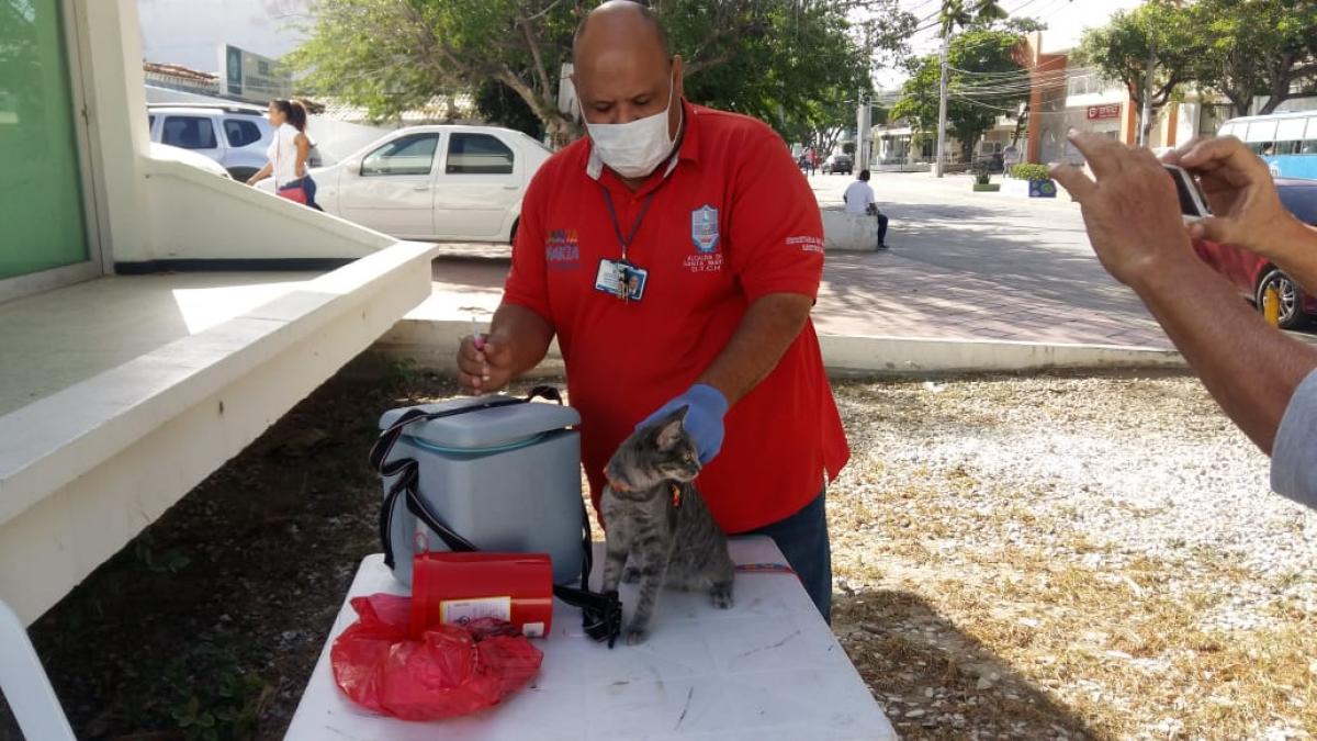 Distrito realiza vacunación  masiva de mascotas en el Día Mundial Contra la Rabia