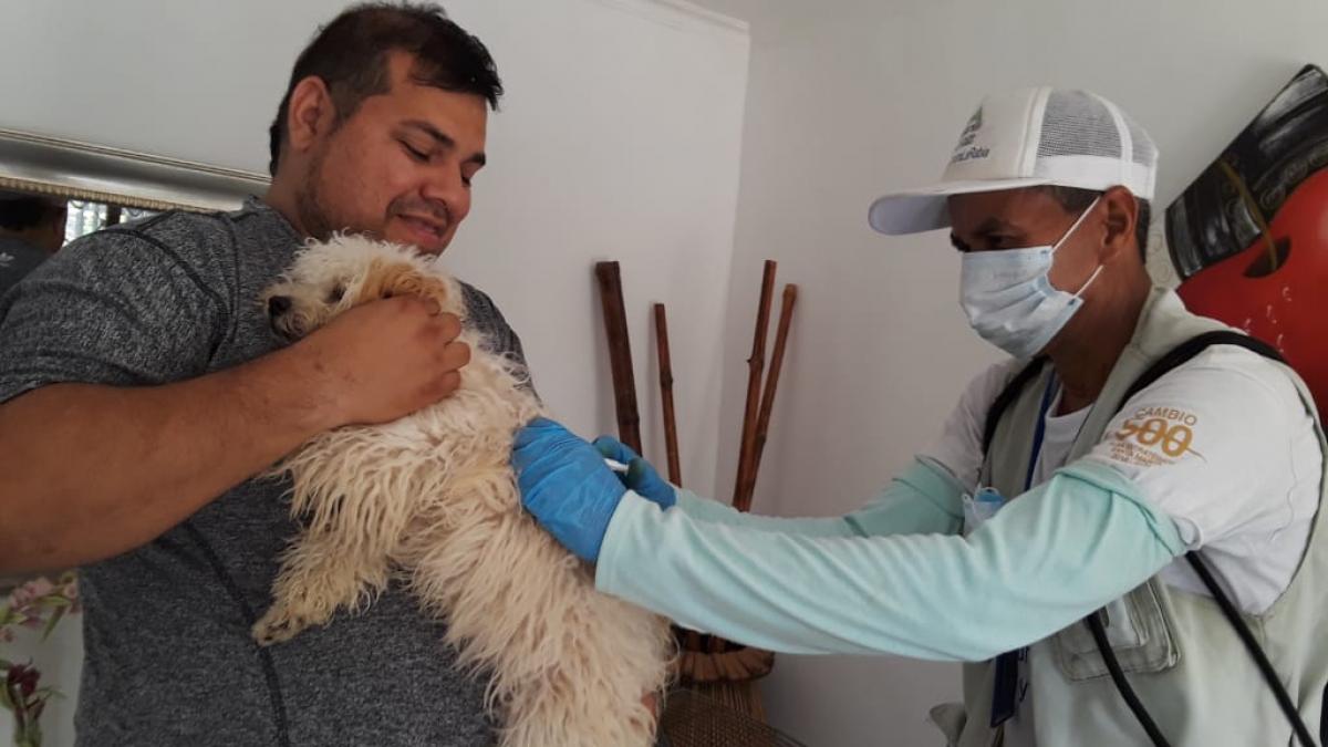 Vacunación canina y felina avanza en el Distrito