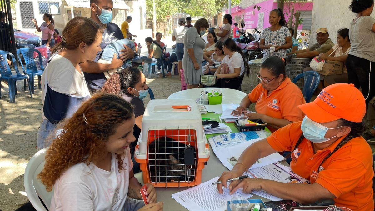 Programa de Atención y Bienestar Animal atendió caninos y felinos en Las Malvinas