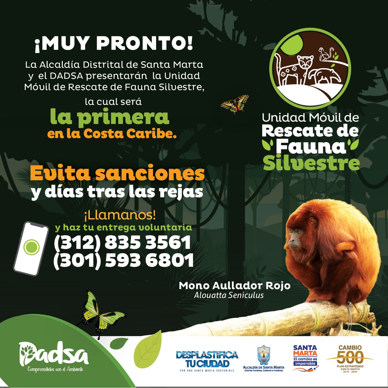 Santa Marta se prepara para ser líder en el Caribe en protección de fauna silvestre con Unidad de Rescate del Dadsa