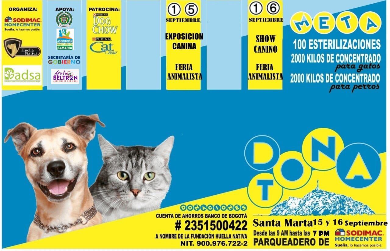 Todo listo para la Gran Donatón en beneficio de los perros y gatos en situación de calle