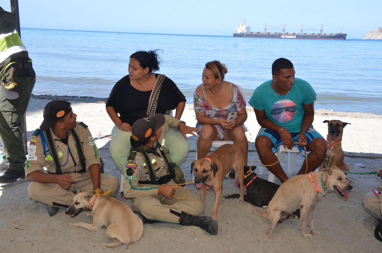 Samarios se volcaron a gran jornada de adopción de perritos y gaticos en condición de calle