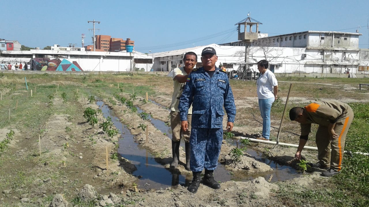 Avanza satisfactoriamente Unidad Productiva Agropecuaria en la Cárcel Rodrigo de Bastidas