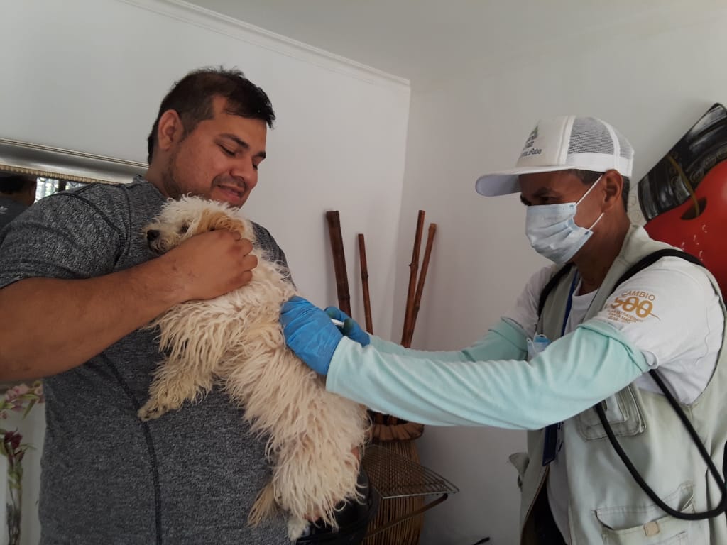 Vacunación canina y felina avanza en el Distrito