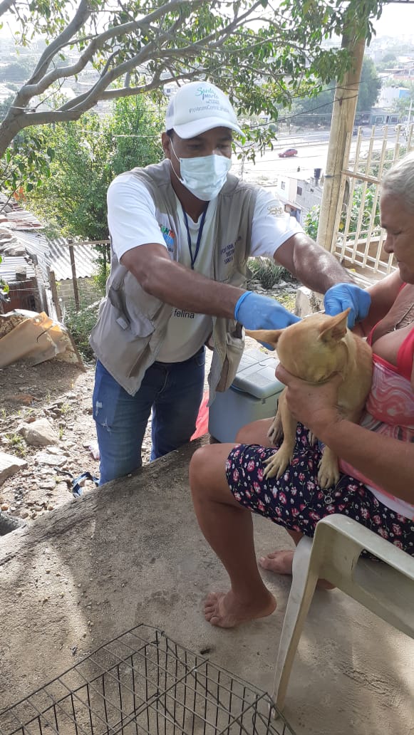 Vacunación canina y felina llega al Cerro La Lucha, El Pando y alrededores