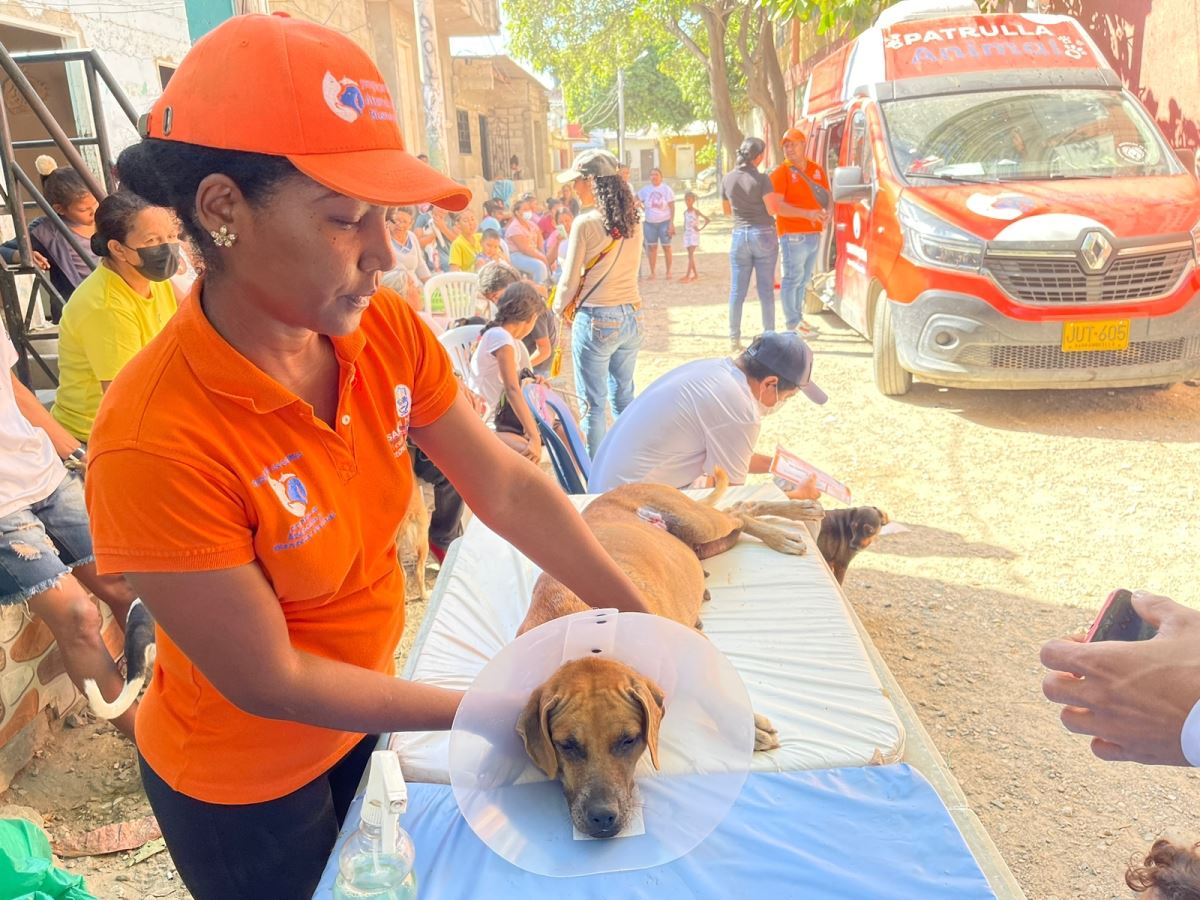 Programa de Atención y Bienestar Animal atendió caninos y felinos en Las Malvinas