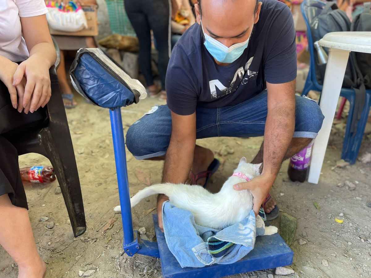 Programa de Atención y Bienestar Animal atendió caninos y felinos en Las Malvinas