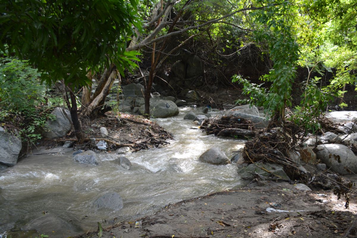 Alcaldía lanza proyecto ambiental comunitario ¡Yo Cambio Mi Quebrada!